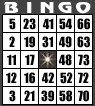 Image of a typical bingo card
