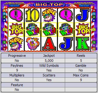 Microgaming 5 reel slot machine image