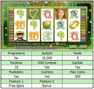 Microgaming 5 reel slot machine image