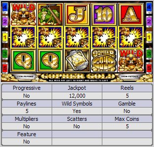 Microgaming 5 reel slot machine image