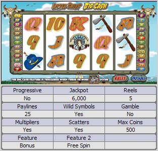 Microgaming 5 reel slot machine image