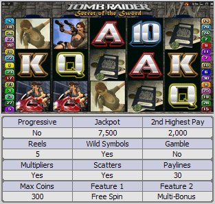 Microgaming 5 reel slot machine image