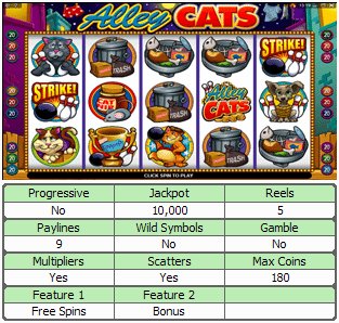 Microgaming 5 reel slot machine image