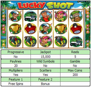 Microgaming 5 reel slot machine image