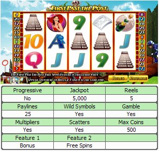 Microgaming 5 reel slot machine image