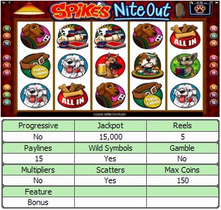 Microgaming 5 reel slot machine image