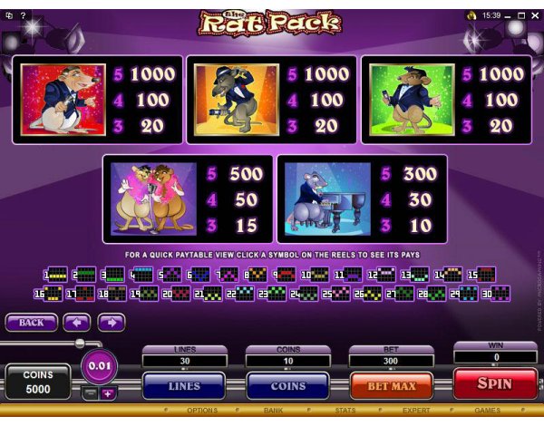 Microgaming 5 reel slot machine image
