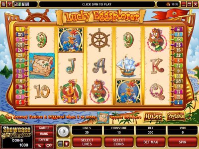 Microgaming 5 reel slot machine image