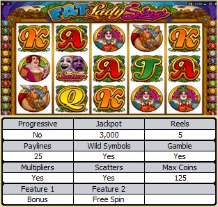 Microgaming 5 reel slot machine image