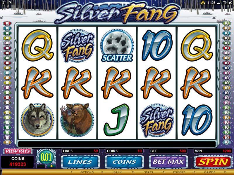 Microgaming 5 reel slot machine image