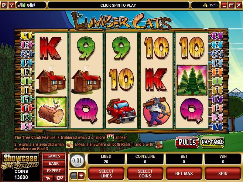 Microgaming 5 reel slot machine image