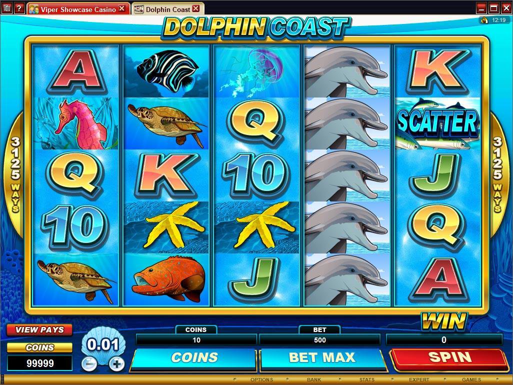 Microgaming 5 reel slot machine image