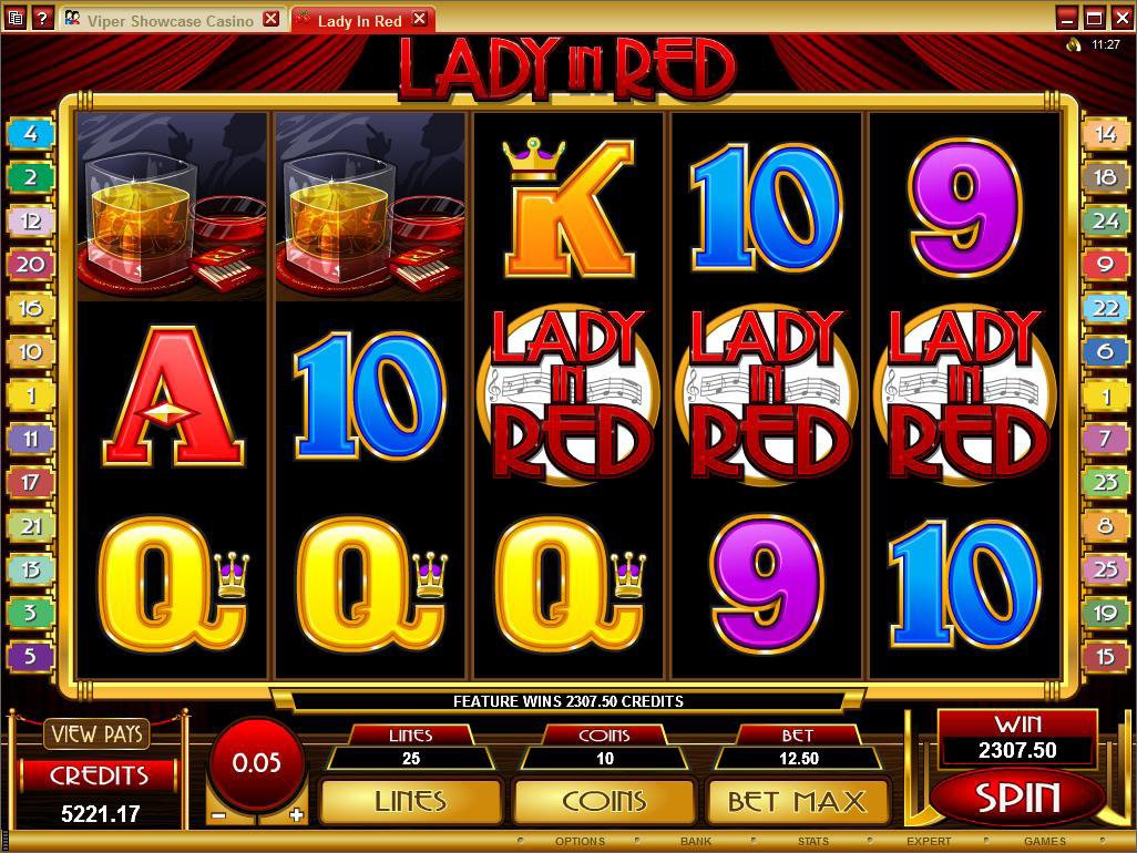 Microgaming 5 reel slot machine image