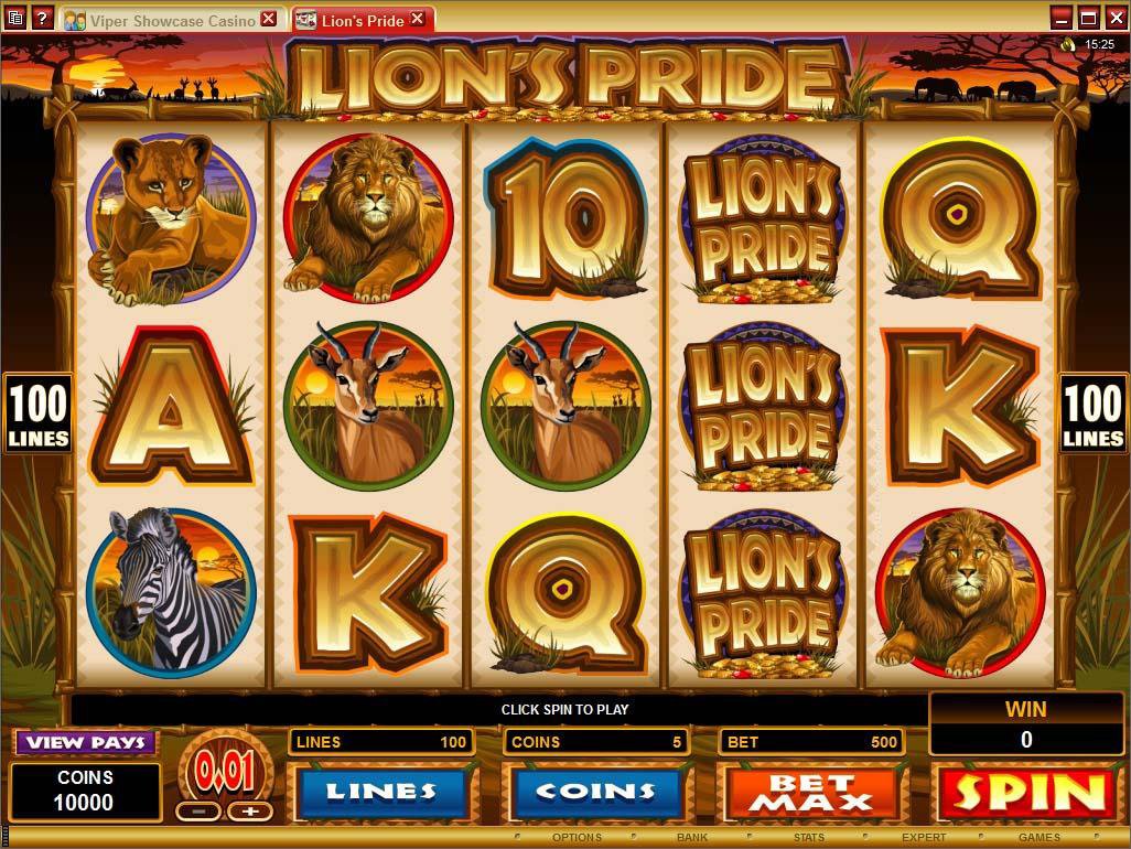 Microgaming 5 reel slot machine image