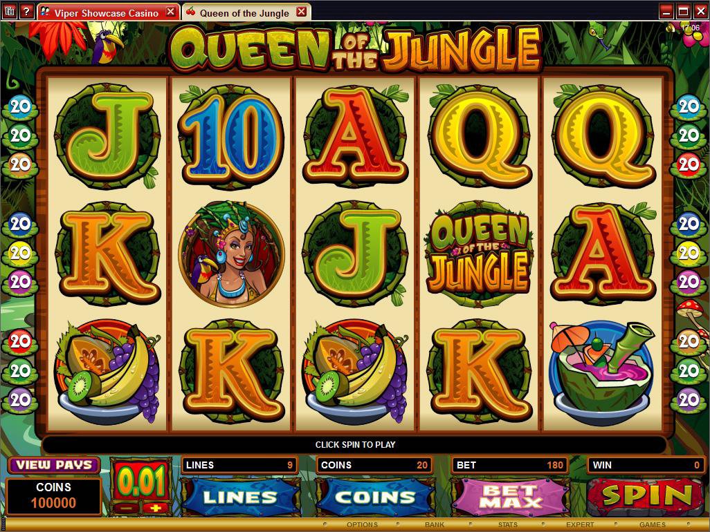 Microgaming 5 reel slot machine image