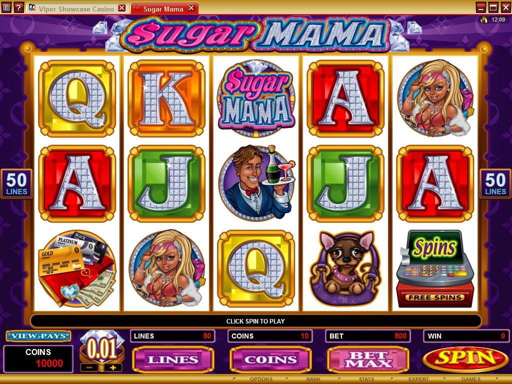 Microgaming 5 reel slot machine image