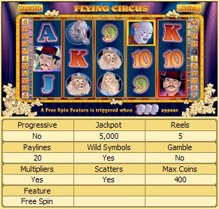 Microgaming 5 reel slot machine image