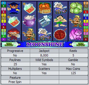 Microgaming 5 reel slot machine image