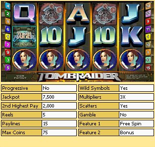 Microgaming 5 reel slot machine image